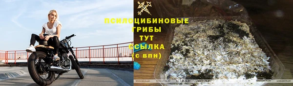 меф Дмитриев
