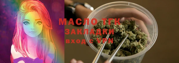 МДПВ Ельня