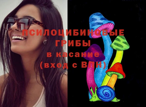 меф Дмитриев