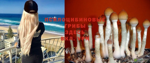 меф Дмитровск