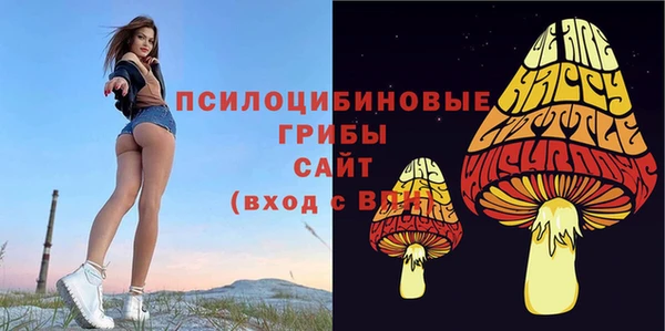 меф Дмитриев