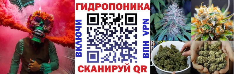 Шишки марихуана семена  Купить где  Покровск 